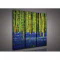 Obraz na plátne viacdielny - OB3194 - Modrý les