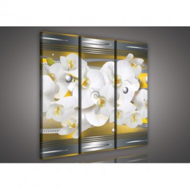 Obraz na plátne viacdielny - OB3214 - Žltá abstrakcia s orchideou