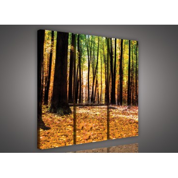 Obraz na plátne viacdielny - OB3249 - Jesenný les