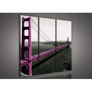 Obraz na plátne viacdielny - OB3264 - Fialový most