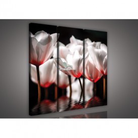 Obraz na plátne viacdielny - OB3282 - Červené kvety
