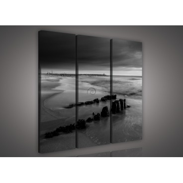 Obraz na plátne viacdielny - OB3286 - Čierno biele pobrežie