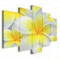 Obraz na plátne viacdielny - OB3420 - Žltobiely kvet