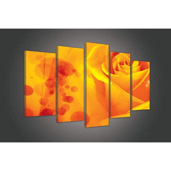 Obraz na plátne viacdielny - OB3516 - Oranžová ruža