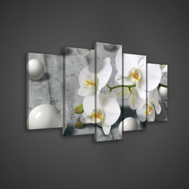 Obraz na plátne viacdielny - OB3560 - Biele kvety