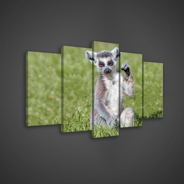Obraz na plátne viacdielny - OB3638 - Lemur