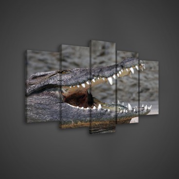 Obraz na plátne viacdielny - OB3639 - Krokodíl