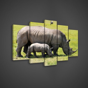 Obraz na plátne viacdielny - OB3641 - Nosorožce
