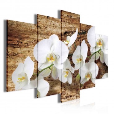 Obraz na plátne viacdielny - OB3702 - Biele kvety