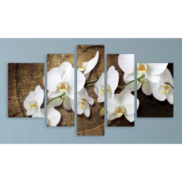 Obraz na plátne viacdielny - OB3704 - Biele kvety