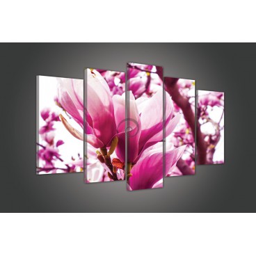 Obraz na plátne viacdielny - OB3737 - Ružové kvety