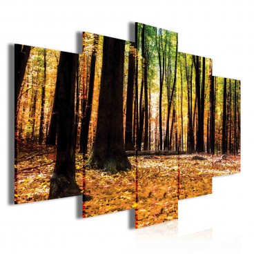 Obraz na plátne viacdielny - OB3751 - Jesenný les