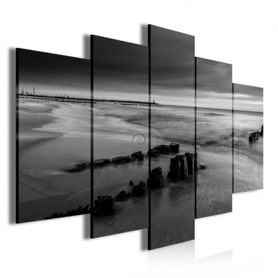 Obraz na plátne viacdielny - OB3754 - Čierno biele pobrežie