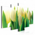 Obraz na plátně vícedílný - OB3758 - Žluto bílé tulipány