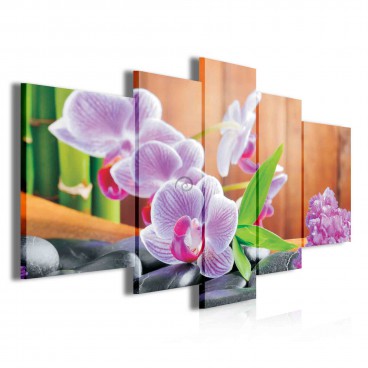 Obraz na plátne viacdielny - OB3768 - Ružové kvety a kamienky