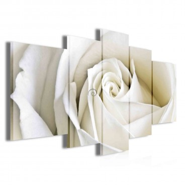 Obraz na plátne viacdielny - OB3797 - Biela ruža