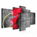Obraz na plátne viacdielny - OB3842 - Červené tulipány
