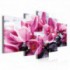 Obraz na plátne viacdielny - OB3906 - Ružové kvety s kamienkami