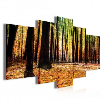 Obraz na plátne viacdielny - OB3909 - Jesenný les