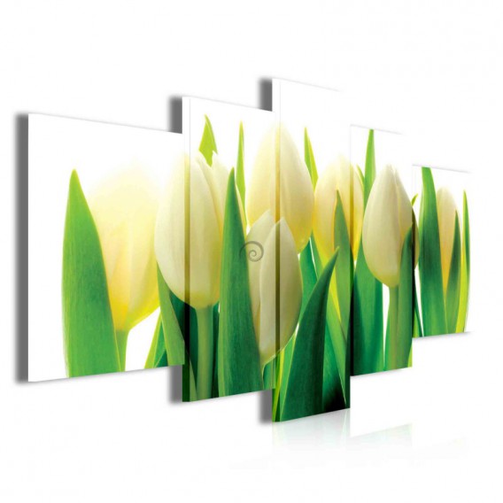 Obraz na plátně vícedílný - OB3917 - Žluto bílé tulipány