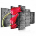 Obraz na plátne viacdielny - OB3994 - Červené tulipány