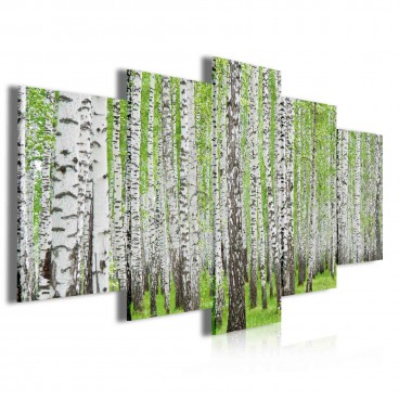 Obraz na plátne viacdielny - OB3995 - Brezový les