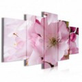 Obraz na plátně vícedílný - OB4011 - Růžový květ