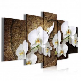 Obraz na plátne viacdielny - OB4040 - Biele kvety