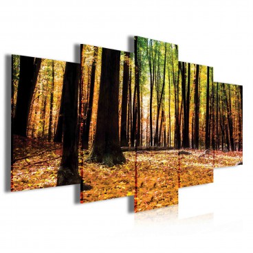 Obraz na plátne viacdielny - OB4059 - Jesenný les