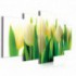 Obraz na plátně vícedílný - OB4066 - Žluto bílé tulipány