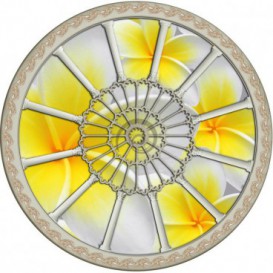 Fototapeta - FT0260 - Stropné okno - žltobiely kvet