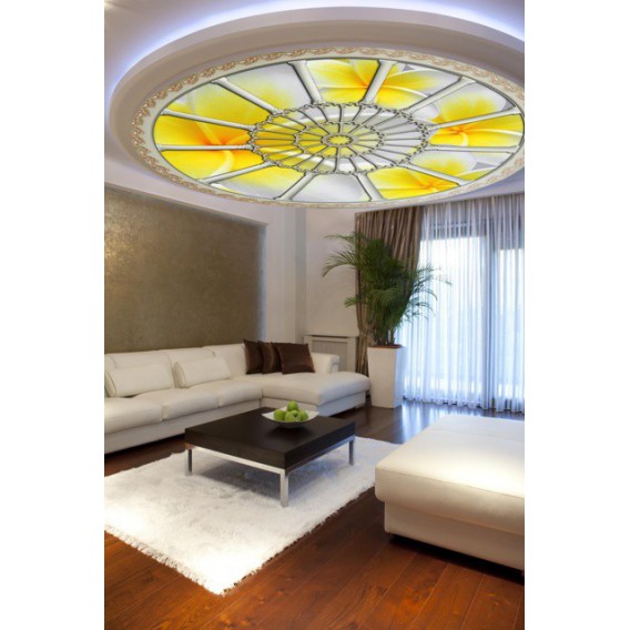 Fototapeta - FT0260 - Stropné okno - žltobiely kvet