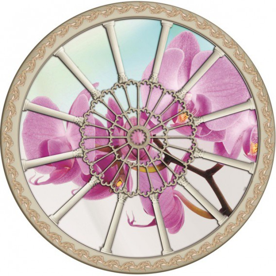 Fototapeta - FT0261 - Stropné okno - ružová orchidea