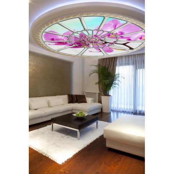 Fototapeta - FT0261 - Stropné okno - ružová orchidea