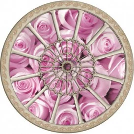 Fototapeta - FT0262 - Stropné okno - ružové ruže