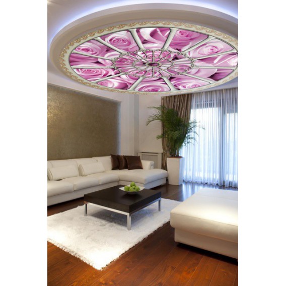 Fototapeta - FT0262 - Stropné okno - ružové ruže