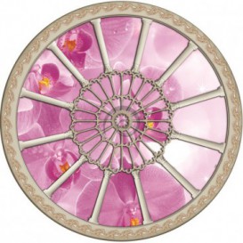 Fototapeta - FT0263 - Stropné okno - ružová orchidea