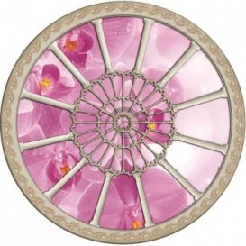 Fototapeta - FT0263 - Stropné okno - ružová orchidea