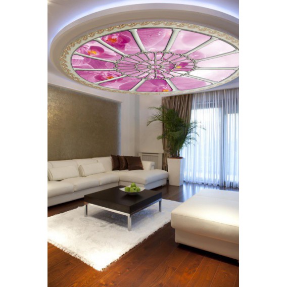 Fototapeta - FT0263 - Stropné okno - ružová orchidea