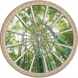 Fototapeta - FT0264 - Stropné okno - bambusový les