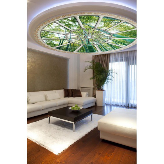 Fototapeta - FT0264 - Stropné okno - bambusový les