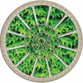 Fototapeta - FT0265 - Stropné okno - brečtanové listy