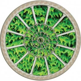 Fototapeta - FT0265 - Stropné okno - brečtanové listy