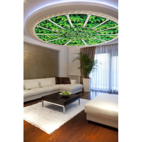 Fototapeta - FT0265 - Stropné okno - brečtanové listy