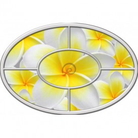 Fototapeta - FT0266 - Oválne okno - žltobiely kvet