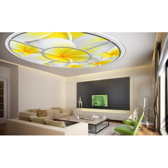 Fototapeta - FT0266 - Oválne okno - žltobiely kvet