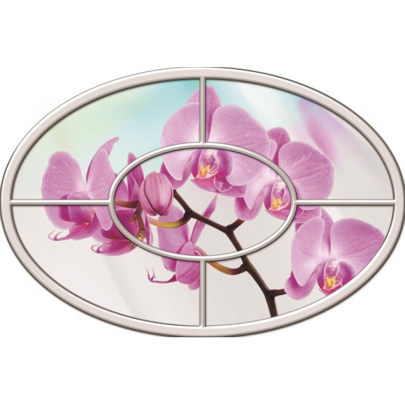 Fototapeta - FT0267 - Oválne okno - ružová orchidea