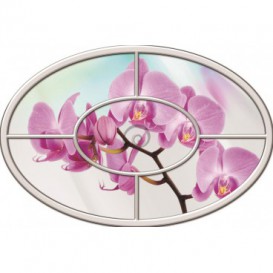 Fototapeta - FT0267 - Oválne okno - ružová orchidea