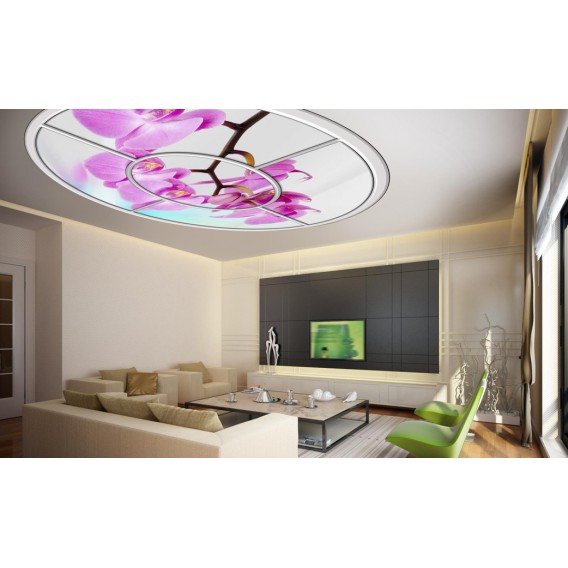 Fototapeta - FT0267 - Oválne okno - ružová orchidea