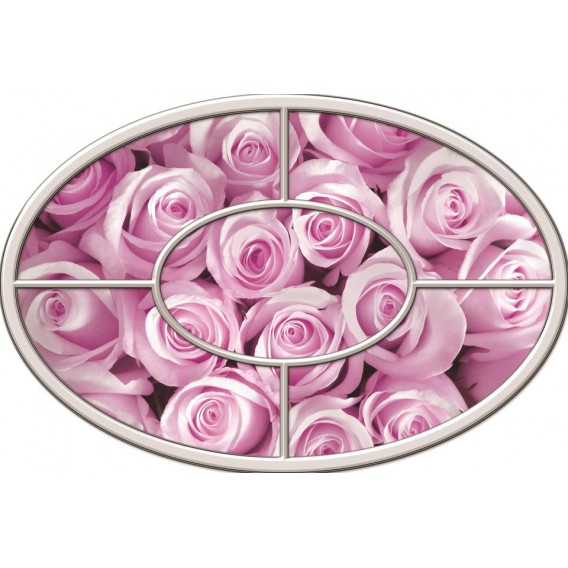 Fototapeta - FT0268 - Oválne okno - ružové ruže